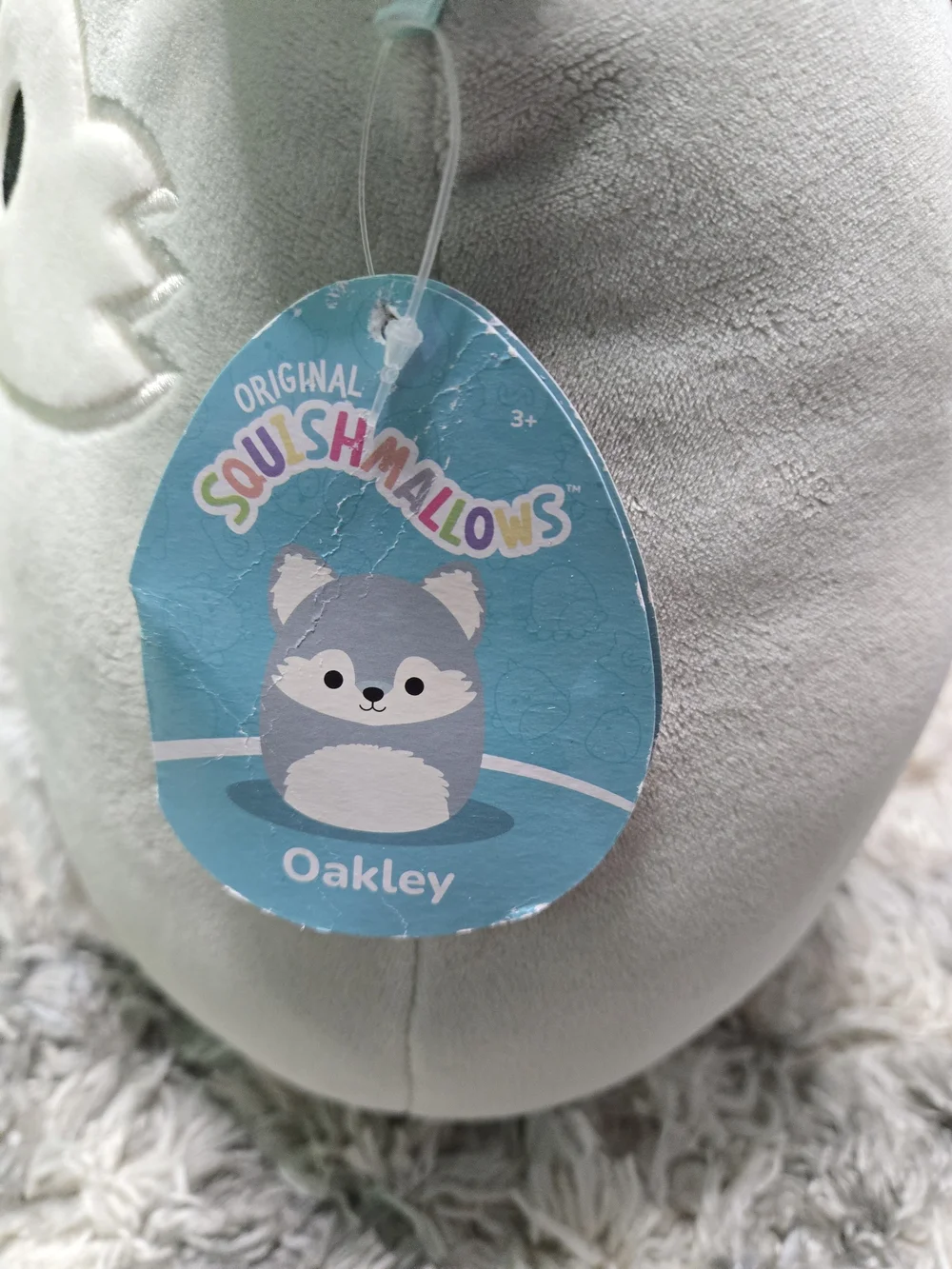 cloud island squishmallows oakley